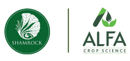 Shamrock Overseas Pvt. Ltd.