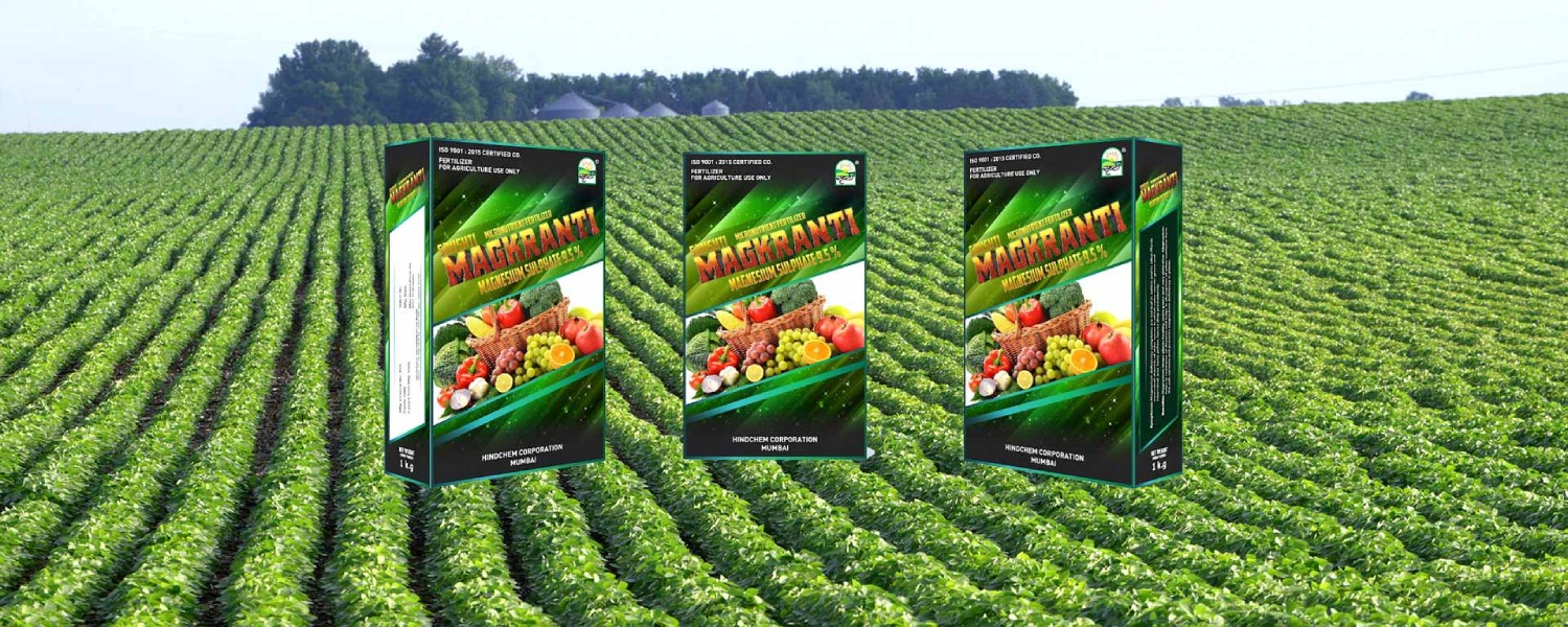 Hindchem corporation