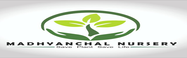 Madhyanchal Nursery