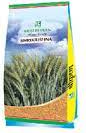 SHRIKRISHNA | Wheat quality Seed