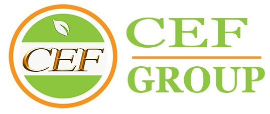 CEF GROUP